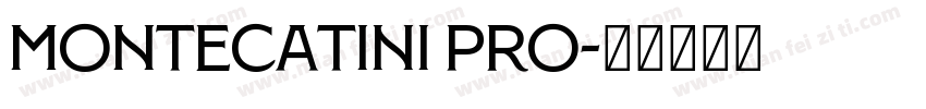Montecatini Pro字体转换
